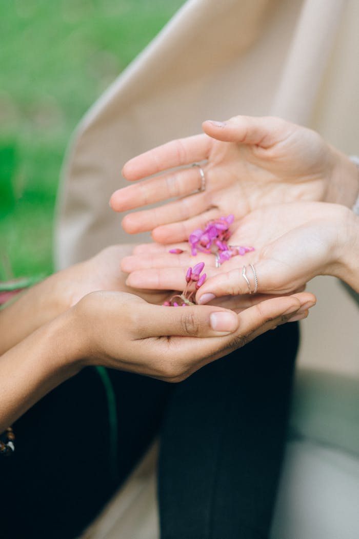 Offerings Two hands exchanging delicate pink flower petals in a peaceful outdoor setting.